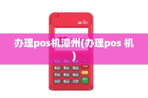 办理pos机漳州(办理pos 机)