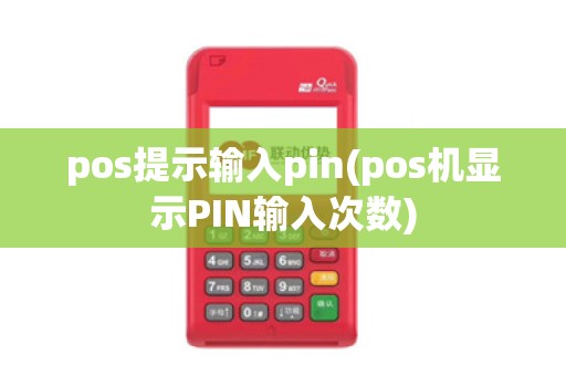 pos提示输入pin(pos机显示PIN输入次数)