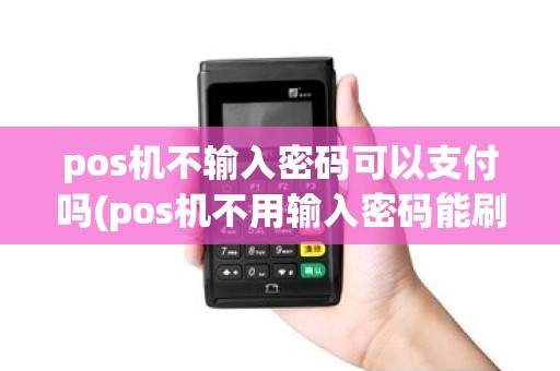 pos机不输入密码可以支付吗(pos机不用输入密码能刷钱)