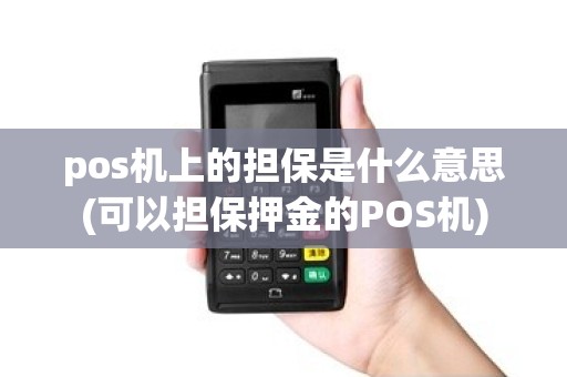 pos机上的担保是什么意思(可以担保押金的POS机)