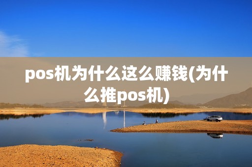 pos机为什么这么赚钱(为什么推pos机)