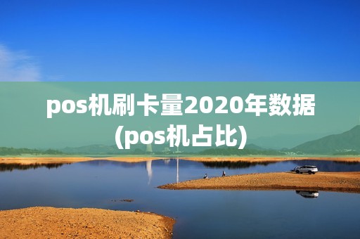pos机刷卡量2020年数据(pos机占比)