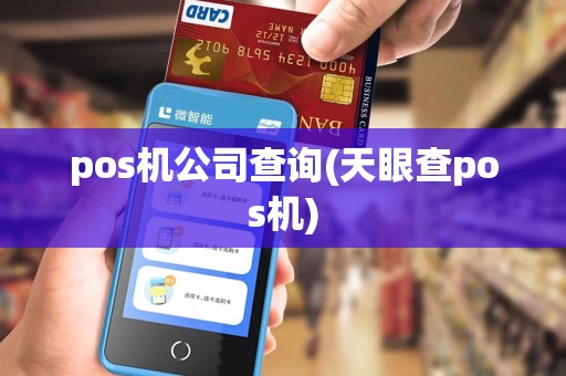 pos机公司查询(天眼查pos机)