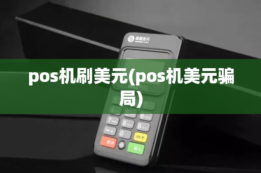 pos机刷美元(pos机美元骗局)