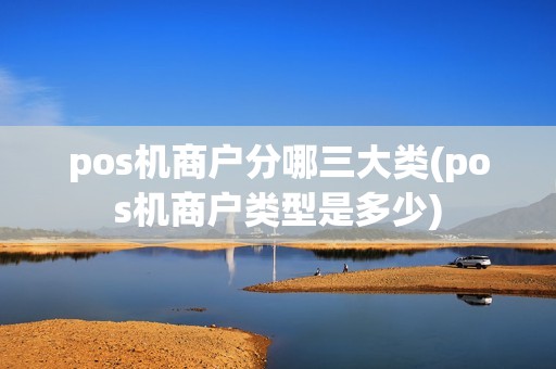 pos机商户分哪三大类(pos机商户类型是多少)