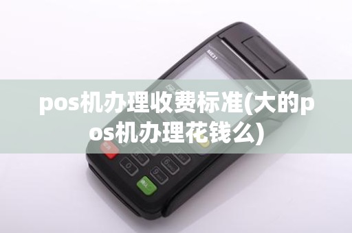 pos机办理收费标准(大的pos机办理花钱么)