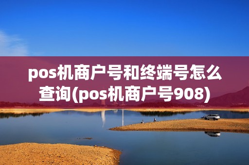 pos机商户号和终端号怎么查询(pos机商户号908)