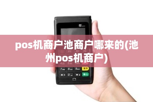 pos机商户池商户哪来的(池州pos机商户)