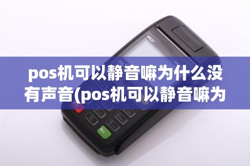 pos机可以静音嘛为什么没有声音(pos机可以静音嘛为什么)