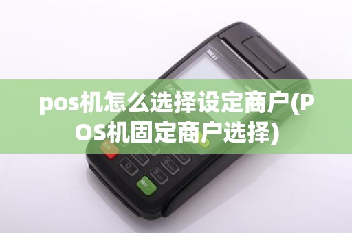 pos机怎么选择设定商户(POS机固定商户选择)