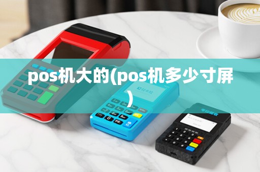 pos机大的(pos机多少寸屏)