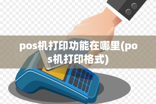 pos机打印功能在哪里(pos机打印格式)