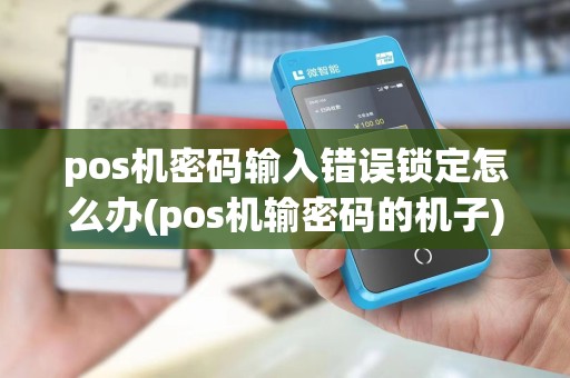 pos机密码输入错误锁定怎么办(pos机输密码的机子)