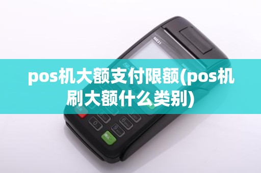 pos机大额支付限额(pos机刷大额什么类别)