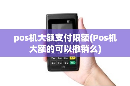 pos机大额支付限额(Pos机大额的可以撤销么)