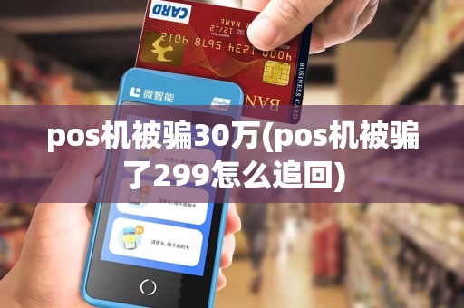 pos机被骗30万(pos机被骗了299怎么追回)