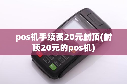 pos机手续费20元封顶(封顶20元的pos机)