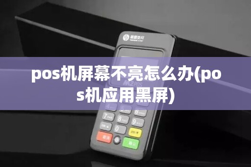 pos机屏幕不亮怎么办(pos机应用黑屏)