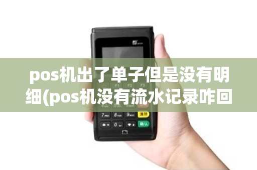 pos机出了单子但是没有明细(pos机没有流水记录咋回事)