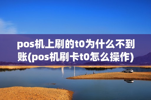 pos机上刷的t0为什么不到账(pos机刷卡t0怎么操作)