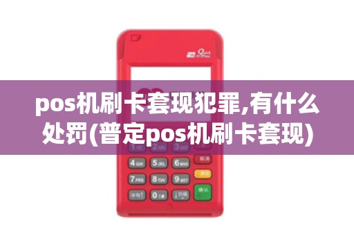 pos机刷卡套现犯罪,有什么处罚(普定pos机刷卡套现)