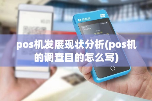 pos机发展现状分析(pos机的调查目的怎么写)