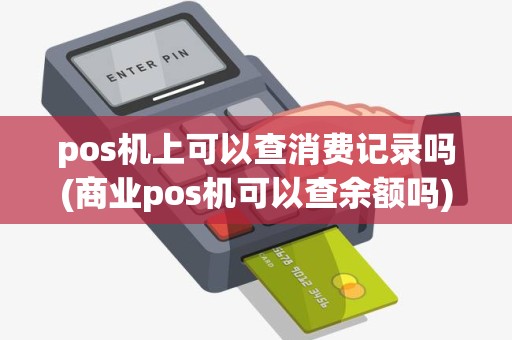 pos机上可以查消费记录吗(商业pos机可以查余额吗)