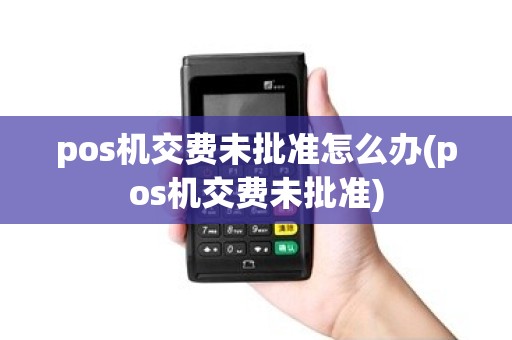 pos机交费未批准怎么办(pos机交费未批准)