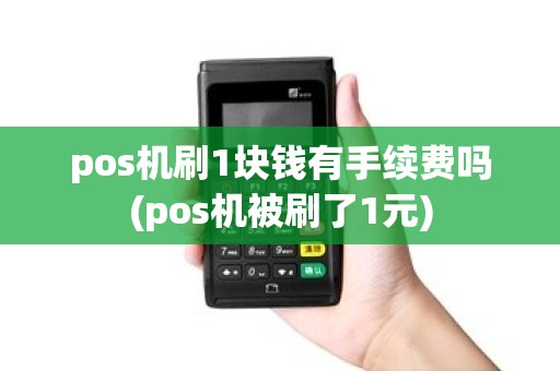 pos机刷1块钱有手续费吗(pos机被刷了1元)