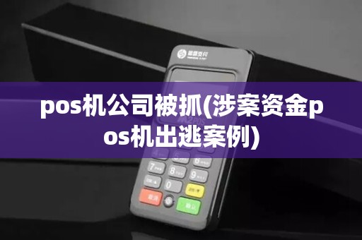 pos机公司被抓(涉案资金pos机出逃案例)