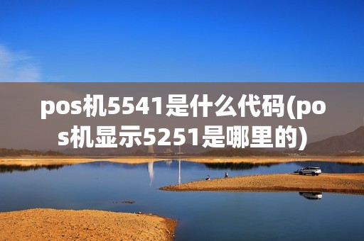 pos机5541是什么代码(pos机显示5251是哪里的)