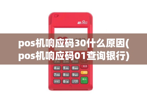 pos机响应码30什么原因(pos机响应码01查询银行)