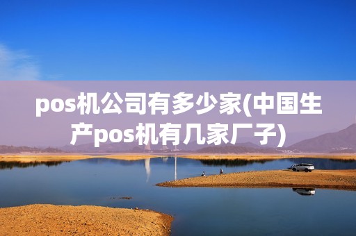 pos机公司有多少家(中国生产pos机有几家厂子)
