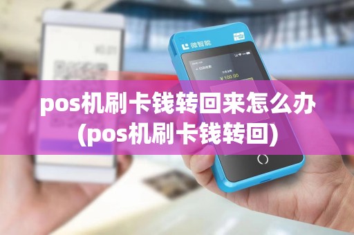 pos机刷卡钱转回来怎么办(pos机刷卡钱转回)