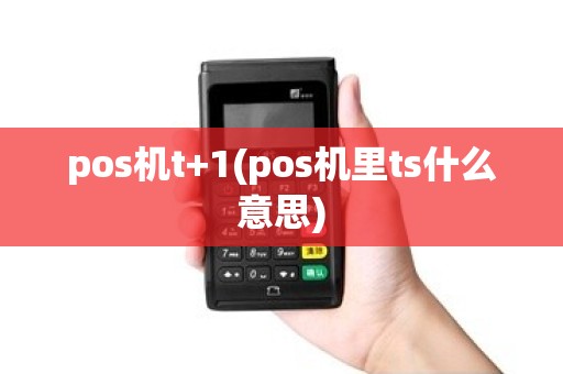 pos机t+1(pos机里ts什么意思)
