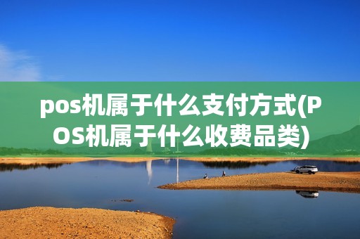 pos机属于什么支付方式(POS机属于什么收费品类)