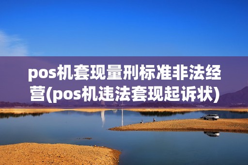 pos机套现量刑标准非法经营(pos机违法套现起诉状)
