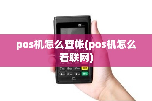 pos机怎么查帐(pos机怎么看联网)