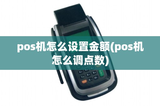 pos机怎么设置金额(pos机怎么调点数)