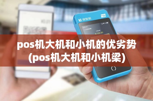 pos机大机和小机的优劣势(pos机大机和小机梁)