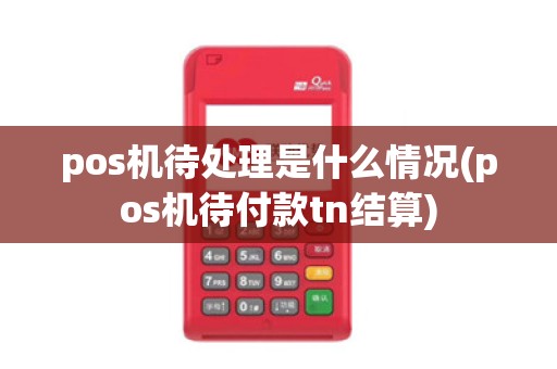 pos机待处理是什么情况(pos机待付款tn结算)