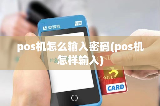 pos机怎么输入密码(pos机怎样输入)