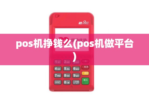 pos机挣钱么(pos机做平台)