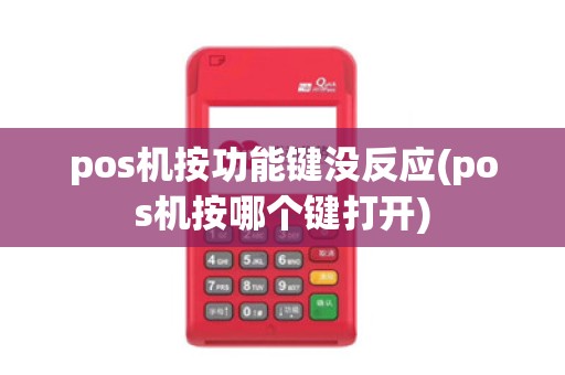 pos机按功能键没反应(pos机按哪个键打开)