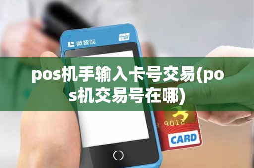 pos机手输入卡号交易(pos机交易号在哪)