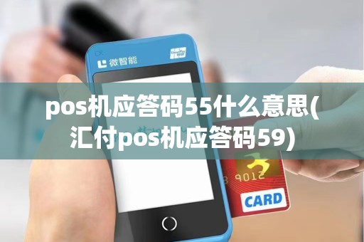 pos机应答码55什么意思(汇付pos机应答码59)