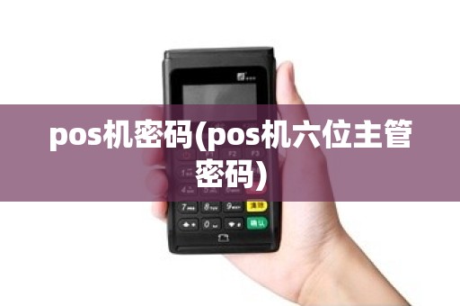 pos机密码(pos机六位主管密码)