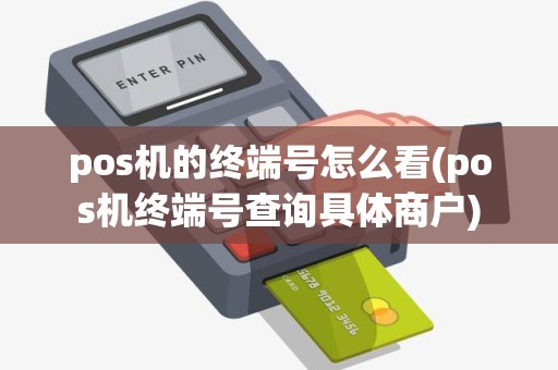 pos机的终端号怎么看(pos机终端号查询具体商户)