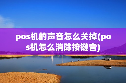 pos机的声音怎么关掉(pos机怎么消除按键音)