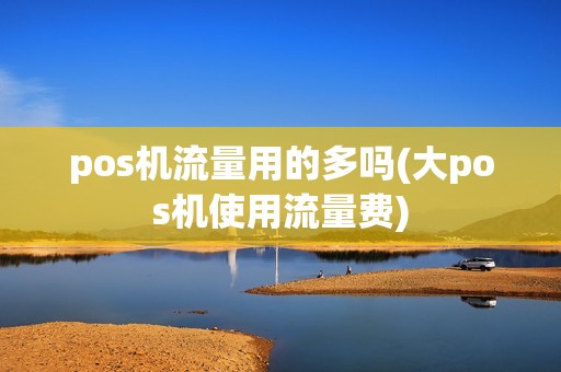 pos机流量用的多吗(大pos机使用流量费)